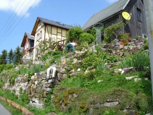 Ferienhaus Ansicht im Sommer